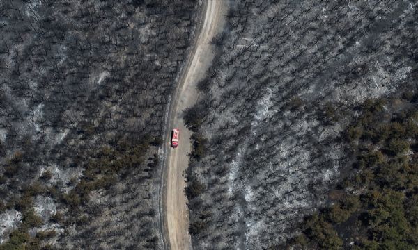 İzmir'in ciğerleri yandı: Yeşil örtü kapkara oldu!