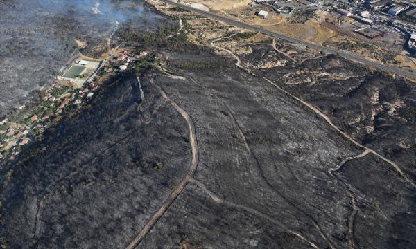 İzmir'de yangın sonrası acı manzara!