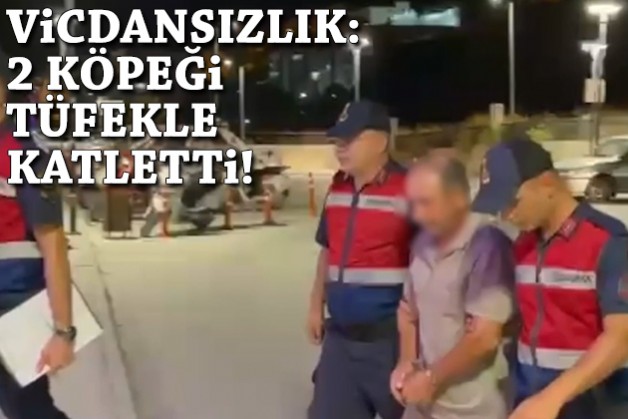 2 köpeği av tüfeğiyle katletti!