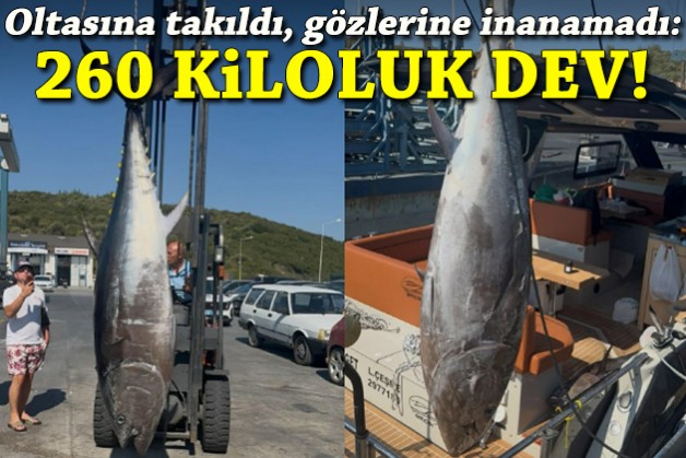 260 kiloluk dev... Oltasına takıldı, gözlerine inanamadı!