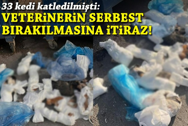 33 kedi katledilmişti: Veterinerin serbest bırakılmasına itiraz!
