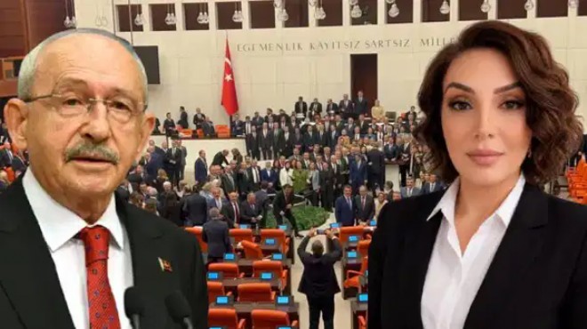 4 gün önce göreve gelmişti: 'Çerçeve Yasa' istifası