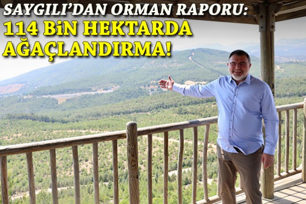AK Partili Saygılı’dan orman raporu: 114 bin hektarda ağaçlandırma!