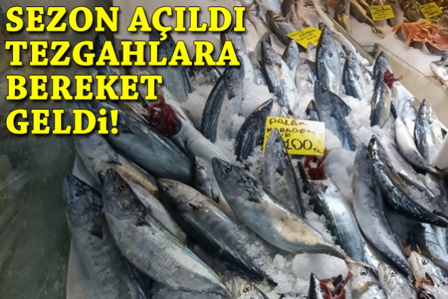 Av sezonu açıldı, tezgahlar bereketlendi!