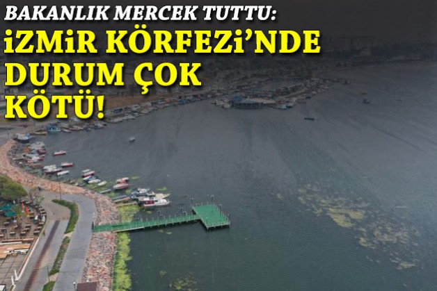 Bakanlık'tan İzmir Körfezi'ne mercek: Çok kötü durumda... Geçen yılla aynı!