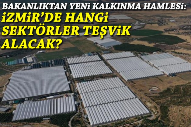 Bakanlıktan kalkınma hamlesi: İzmir'de hangi sektörler teşvik alacak?