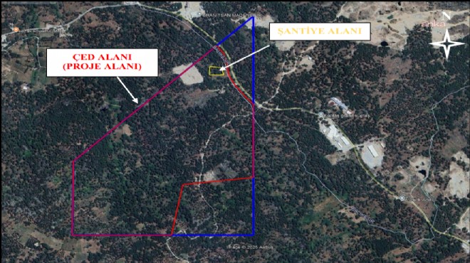 Bergama’nın UNESCO adayı fıstık çamı deposuna ‘granit ocağı’ onayı!
