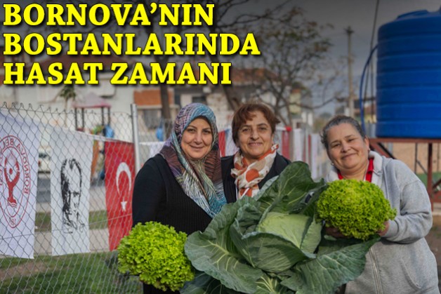 Bornova'da kent bostanlarında hasat zamanı
