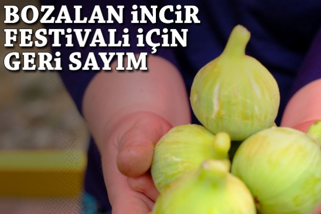 Bozalan İncir Festivali için geri sayım