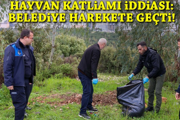 Buca'da hayvan katliamı iddiası: Belediye harekete geçti!