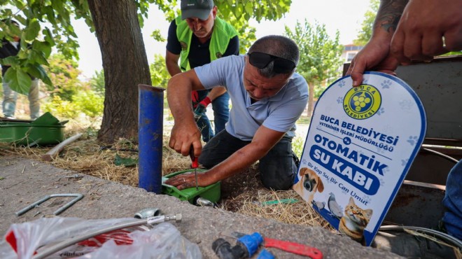 Buca'da sokak hayvanlarına can suyu