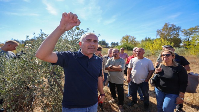 Buca’da Sertifikalı Zeytin Budama Eğitimi tamamlandı