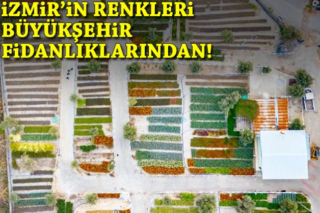 Büyükşehir fidanlıkları kente nefes oluyor