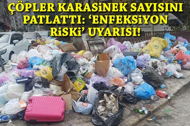 Çöpler karasinek sayısını patlattı: 'Enfeksiyon riski' uyarısı!