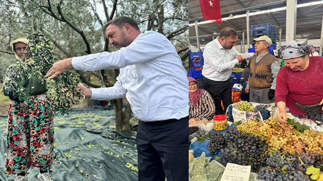Gümrükçü Dikili'den seslendi: Daldaki altın tarlada kalacak, acil önlem alın!