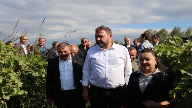 Gümrükçü: Tatlı üzümde acı fiyat olmaz!