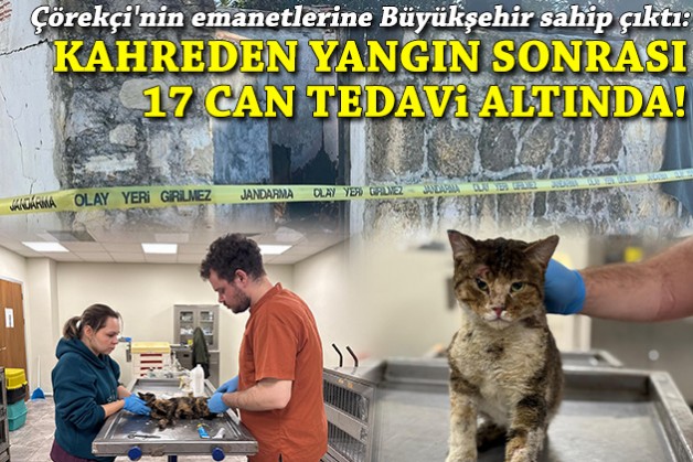 Çörekçi'nin emanetlerine Büyükşehir sahip çıktı: Kahreden yangın sonrası 17 can tedavi altında!