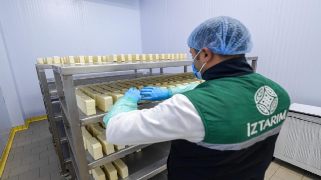 İZTARIM'da yarım kilo kaşar 165 TL!