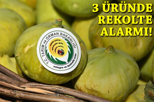 İklim krizi üretimi vurdu: 3 üründe rekolte alarmı