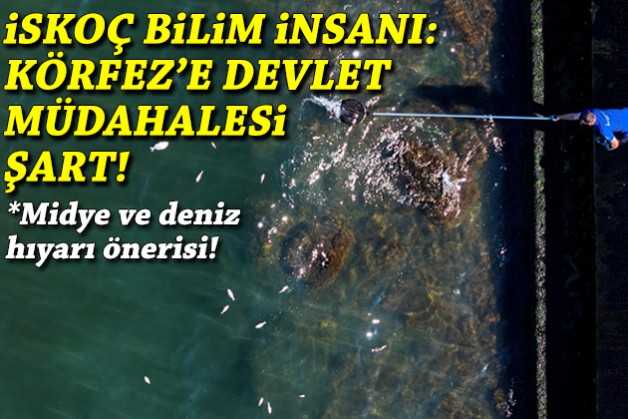 İskoç bilim insanından Körfez için çağrı: Devlet müdahalesi şart!