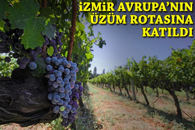 İzmir, Avrupa’nın üzüm rotasına dahil oldu