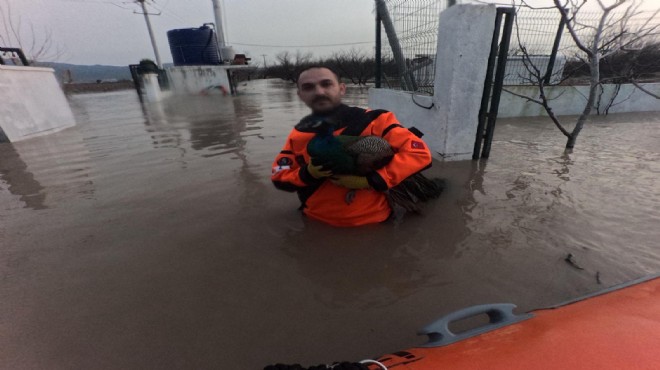 İzmir İtfaiyesi'nden sessiz canlar için seferberlik