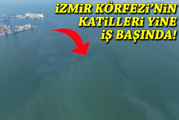 İzmir Körfezi'nin katilleri yine iş başında!