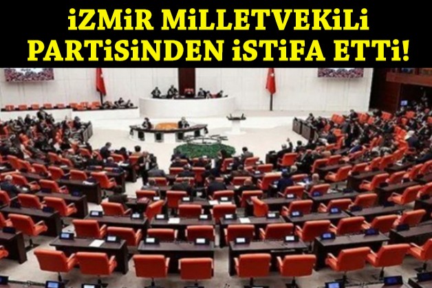 İzmir Milletvekili partisinden istifa etti