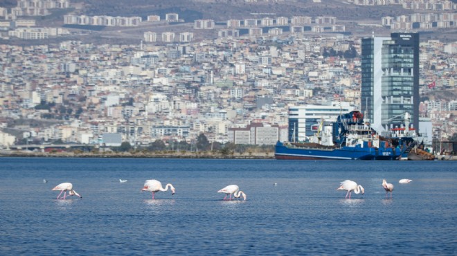 'İzmir Yenileniyor' markası tescillendi