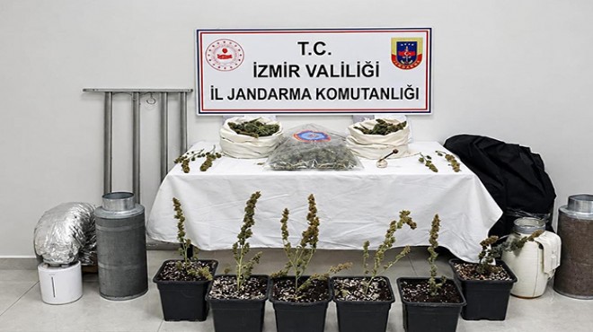 İzmir'de 5 kilo skunk ele geçirildi
