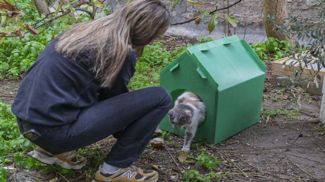 İzmir'de can dostlara sıcak yuva!