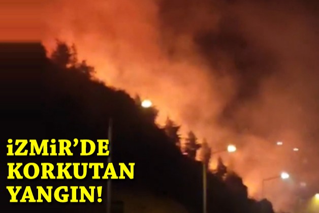 İzmir'de korkutan yangın!