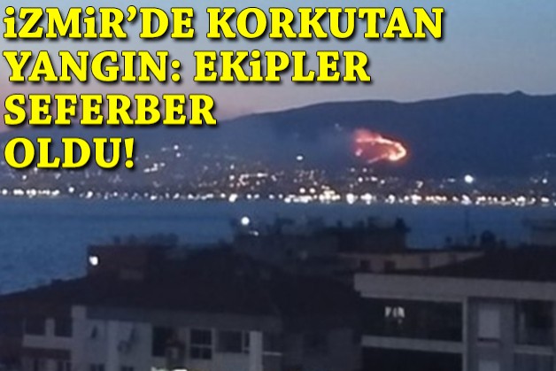 İzmir'de korkutan yangın: Ekipler seferber oldu