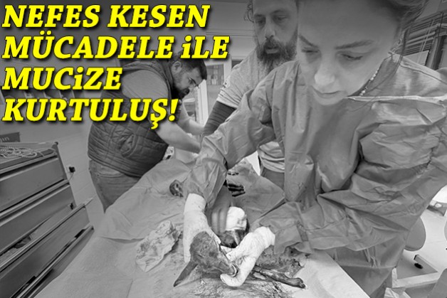 İzmir'de nefes kesen mücadele ile mucize kurtuluş!