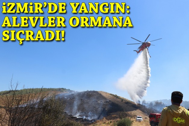 İzmir'de yangın: Alevler ormana sıçradı!