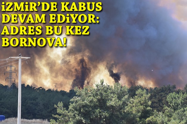 İzmir'de yangın kabusu sürüyor: Adres bu kez Bornova!
