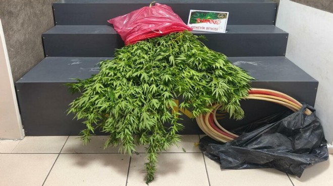 İzmir'de 'zehir' baskınları!