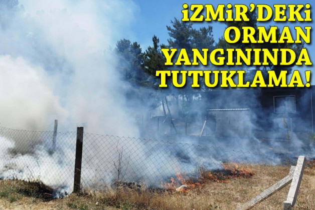 İzmir'deki orman yangınında tutuklama