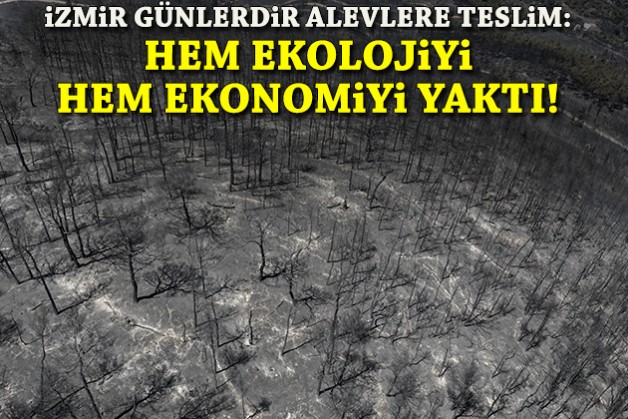 İzmir günlerdir alevlere teslim: Hem ekolojiyi hem ekonomiyi yaktı