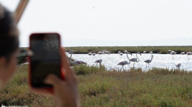 İzmir’de bayram rotası Flamingo Yolu!