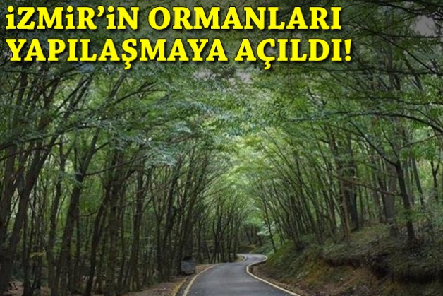 İzmir’in ormanları yapılaşmaya açıldı!