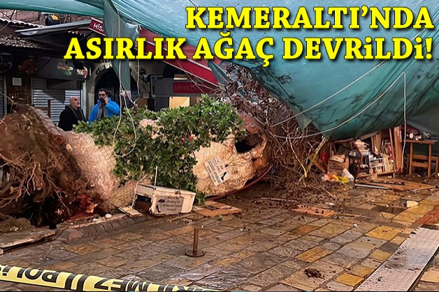 Kemeraltı'nda asırlık ağaç devrildi