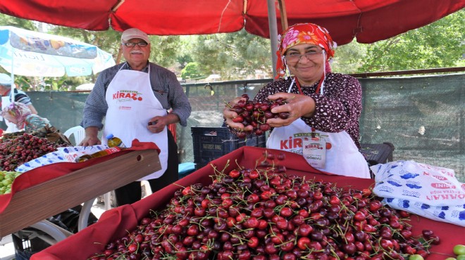 Kiraz Festivali coşkusu Bornova'yı saracak