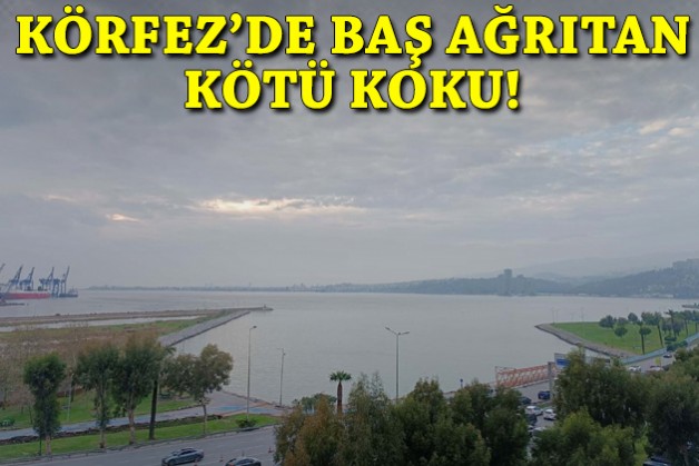 Körfez'de baş ağrıtan kötü koku!