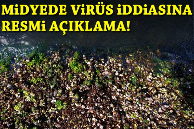 Körfez'deki midyelerde virüs iddiasına resmi açıklama!