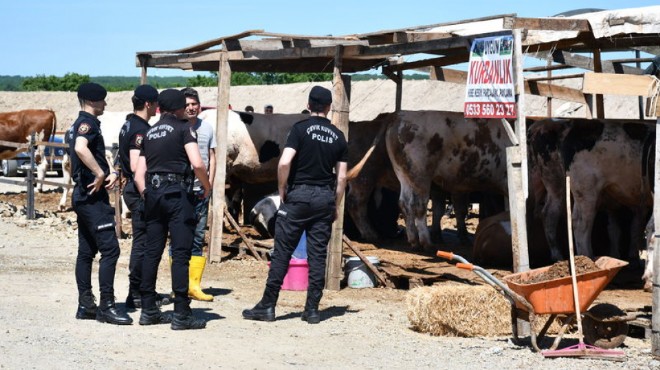 Kurban pazarında kavga: 30 kişi birbirine girdi!