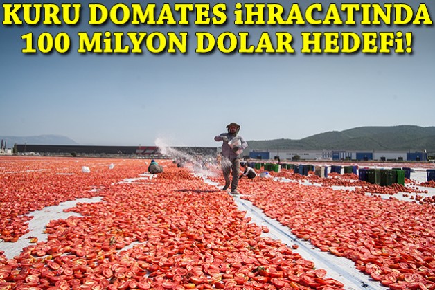 Kuru domates ihracatında 100 milyon dolar hedefi