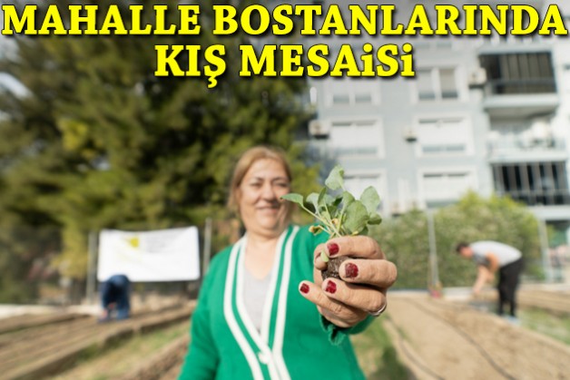 Mahalle bostanlarında kış mesaisi