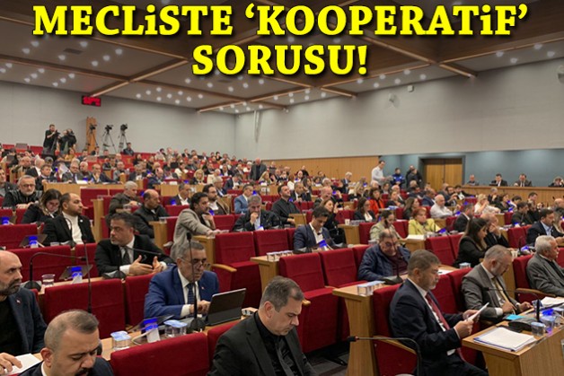 Mecliste 'kooperatif' sorusu