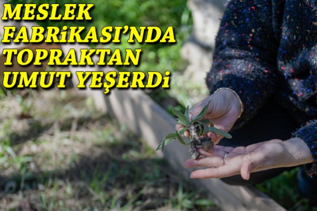 Meslek Fabrikası'nda topraktan umut yeşerdi